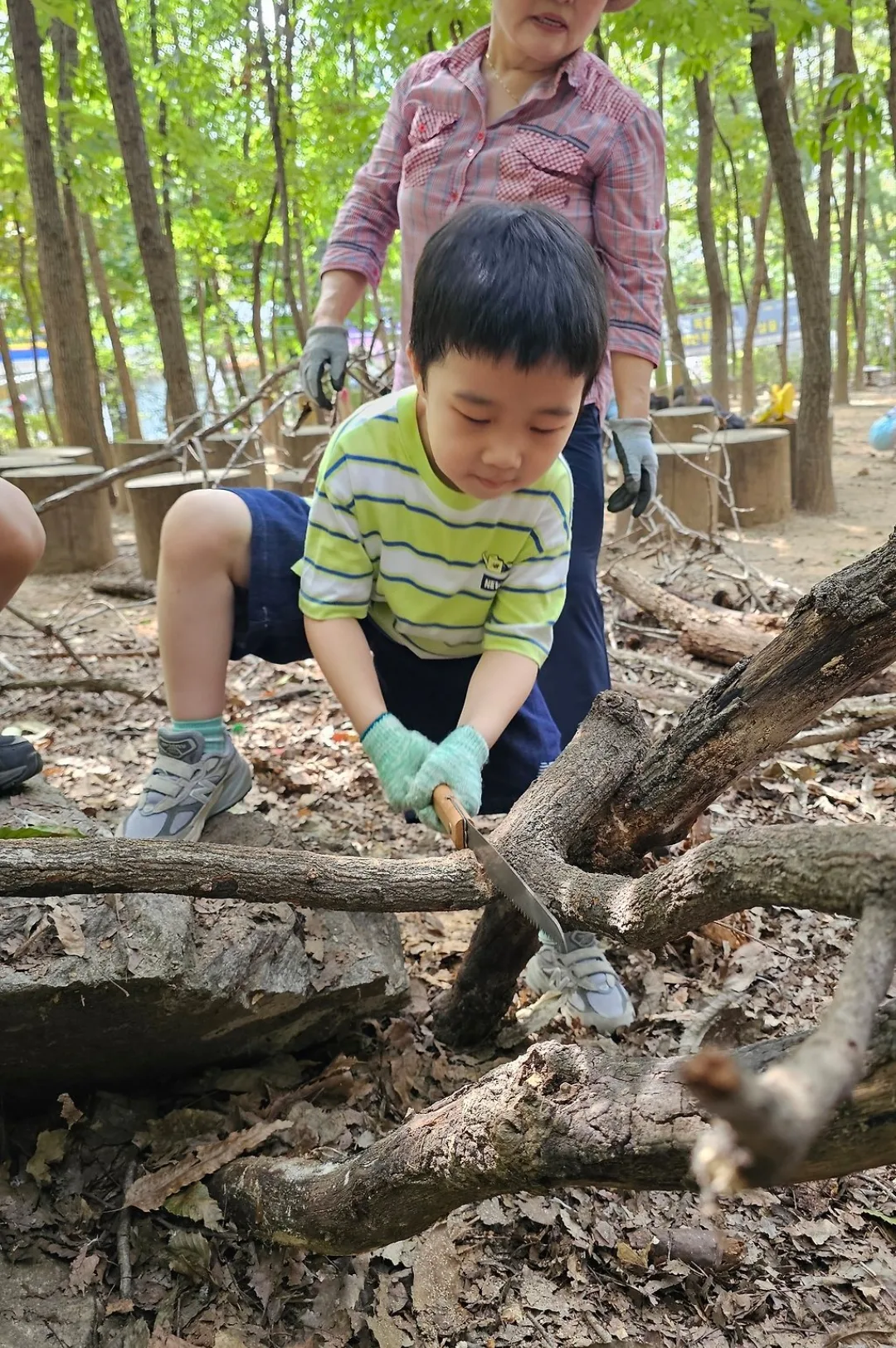숲에서 나뭇가지를 옮기는 아이